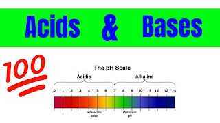 Properties of Acids and Bases  The Basics [upl. by Eceined334]