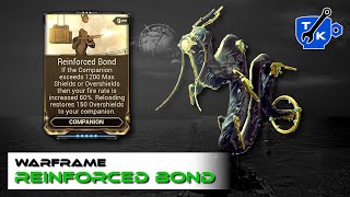 Reinforced Bond  A musthave bonus  Warframe [upl. by Hahnke]