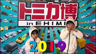 トミカ博2019愛媛！乗り物GoGoパラダイス [upl. by Frohman]