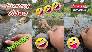 Catching frog funny for fun  funny animal video  cute frog jumping in river [upl. by Oknuj]