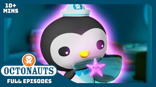 Octonauts  🐚 The Lost Sea Star ⭐  Season 1  Full Episodes  Cartoons for Kids [upl. by Ennairac293]