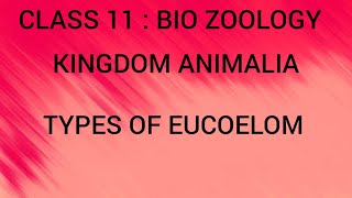 Types of Eucoelom  Kingdom Animalia  Class 11  Tamil [upl. by Fendig]