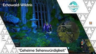 Versteckte Sehenswürdigkeit  EchowaldWildnis  Guild Wars 2 End of Dragons [upl. by Markowitz]