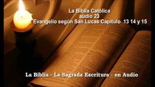 La Biblia Católica en audio 23 Evangelio San Lucas 13 14 15 [upl. by Llenna456]