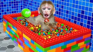 KiKi Monkey solves trouble with Colorful Lego Bathtub Full of MampM Candy  KUDO ANIMAL KIKI [upl. by Marline527]