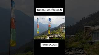 Village Life on the Langtang Trek langtang tamangculture travel [upl. by Yromas]