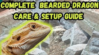 Complete Bearded Dragon Care amp Setup Guide [upl. by Ahsatam]