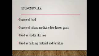 Economic Importance of Poaceae Family [upl. by Idissak272]