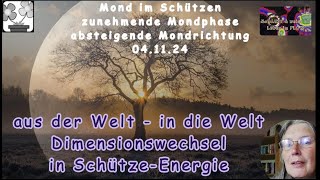 SchützeEnergie  Dimensionswechsel ganz privat  aus der einen Welt in die andere und zurück [upl. by Araz]