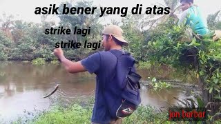 lagi lagi strikebuat tetangga sampe manjat pohon [upl. by Macswan122]