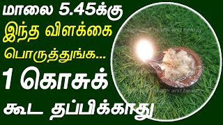 மாலை 5 45 க்கு இத பொருத்துங்க 1 கொசுக் கூட தப்பிக்காது  kosu varamal iruka tips in tamil  kosu [upl. by Torras926]