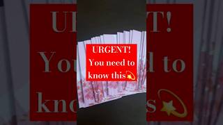 URGENT Their current feelings for you❤️Timeless💫 love tarot viralvideo feeling [upl. by Barren580]