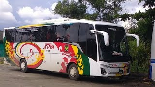 Line Perdana Bus NPM Di Kota Dumai [upl. by Afnin]