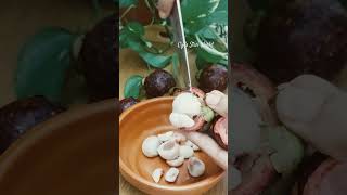 Mangosteen shakeshakes mangosteen [upl. by Roots800]