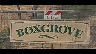 Boxgrove October2024 [upl. by Amathist]