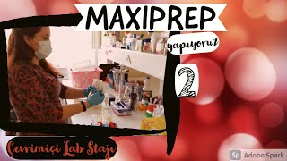 MAXIPREP part II  PLASMID ISOLATION  ZYMOPURE  ONLINE LAB TRAINING [upl. by Ennaj]