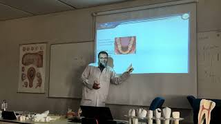 محاضرة رقم 1، Dent131 1 Teeth nomenclature numbering surfaces and angles3 [upl. by Adnamahs]