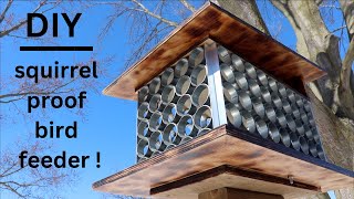 The Best Squirrel Proof Bird Feeder  How To Keep Squirrels Out [upl. by Nonnag45]