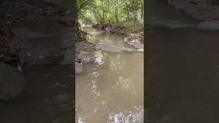 Creeks creek creekfishing creekside creeks ultralight ultralightfishing getoutdoors [upl. by Eadahs]