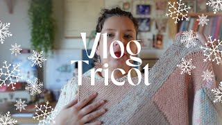 Pleins dencours sur mes aiguilles  Vlog Tricot 98 [upl. by Baron]