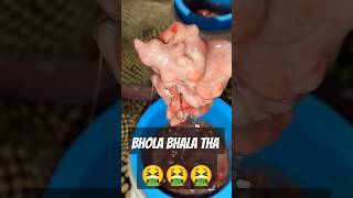 Bhola bhala tha songbeen wax viralreels waxingviralshort skincareviralvideo bodywaxing bikne [upl. by Becki]