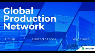 Global Production Network [upl. by Fira]