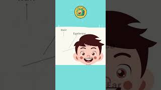 Learn Body Parts with Songs and Games for Kids [upl. by Hairas262]