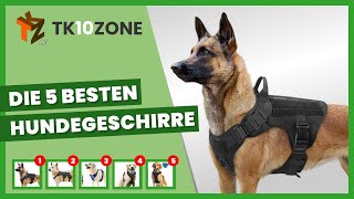 Die 5 besten Hundegeschirre [upl. by Ecyar]