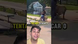 ‼️QUE PERIGO‼️ pets caes cachorro animaisdeestimação animaisengraçados remix react cao [upl. by Leahcimdivad]