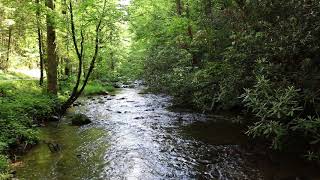 Forge Creek Road Cades Cove [upl. by Jordison]