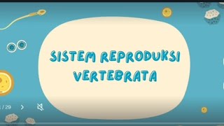 Sistem Reproduksi Vertebrata [upl. by Quar]