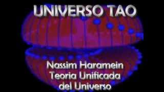 1ro Universo TAO Marko Rodin y Nassim Haramein [upl. by Enninaej]