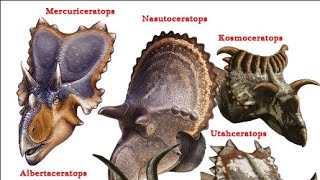 MEMBERS OF THE CERATOPSIAN FAMILY [upl. by Cioffred29]