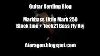 MarkBass Little Mark 250 Black Line  Tech 21 Bass FlyRig  Guitar Nerding Blog [upl. by Chemar]