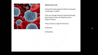 BTEC Applied Science Unit 1 Biology Specialised Cells [upl. by Adnot]