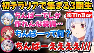 初めてのテラリア配信で続々と集まる3期生、ぺこちゃんの『ちんばー』に過剰反応するノエマリｗ【ホロライブ兎田ぺこら宝鐘マリン白銀ノエル】 [upl. by Stephana]