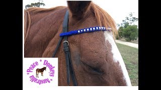 How to make a beaded paracord browband for a horse [upl. by Ecinev795]