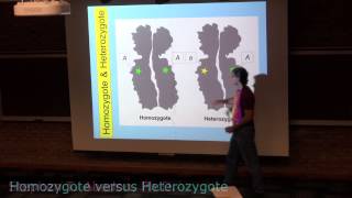 Homozygote and Heterozygote [upl. by Griffiths424]