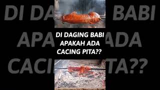 DI DAGING BABI APAKAH ADA CACING PITA [upl. by Kung799]