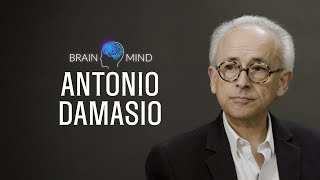 The Mind and the Brain  Antonio Damasio at BrainMind [upl. by Belloir]