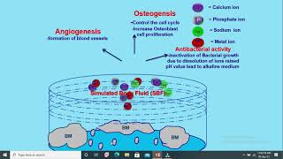 Bioactivity of Biomaterials [upl. by Rodolfo327]