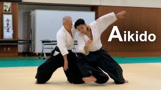 Aikido Demonstration 2019  Shirakawa Katsutoshi shihan [upl. by Ecinaej803]