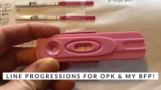 TTC  Line Progressions  OPK amp BFP [upl. by Enaira999]