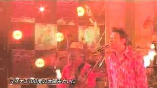 桑田佳祐南方之星 真夏の果実STUDIO LIVE 中文字幕 [upl. by Ruggiero837]