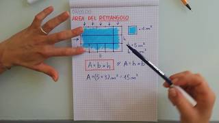 Videolezione GEOMETRIA Larea del rettangolo [upl. by Guss]