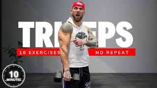 10 Minute Workout NO REPEAT Tricep Workout With Dumbbells at home feel the burn [upl. by Derfniw]