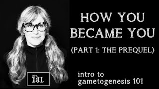 intro to neurodevelopment 101 part 1 the prequel  gametogenesis  s1e6 [upl. by Lim]