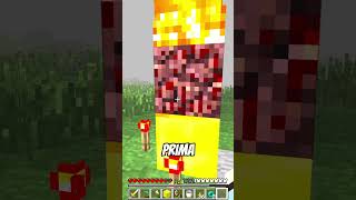 HEROBRINE CI DIFENDERA  😱😱😱😱 shorts minecraft [upl. by Aaberg]