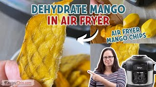 Dehydrate Mangoes In The Air Fryer Ninja Foodi Mango Slices [upl. by Enelyar]