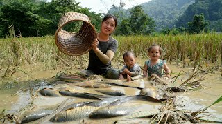 Harvest giant fish with your children to sell at the market  buy clothes to keep your children warm [upl. by Aiepoissac956]